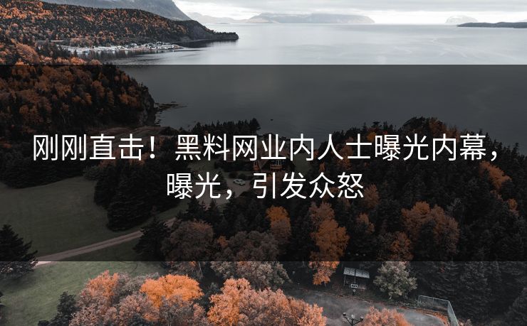 刚刚直击!黑料网业内人士曝光内幕,曝光,引发众怒