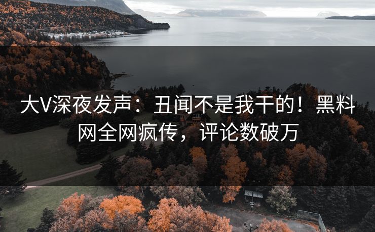 大V深夜发声:丑闻不是我干的!黑料网全网疯传,评论数破万