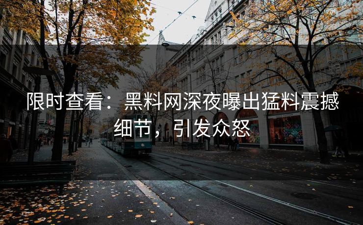 限时查看：黑料网深夜曝出猛料震撼细节，引发众怒