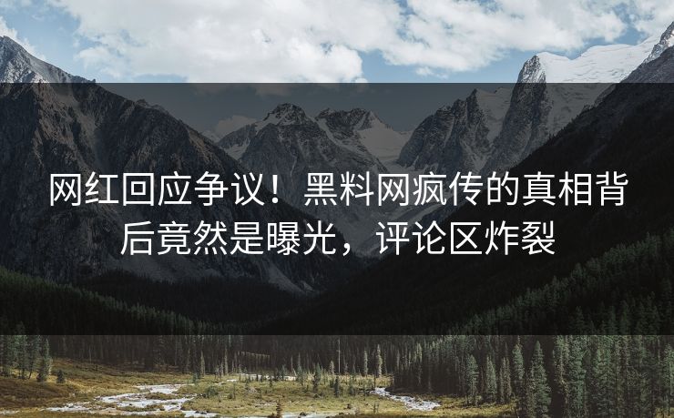 网红回应争议！黑料网疯传的真相背后竟然是曝光，评论区炸裂