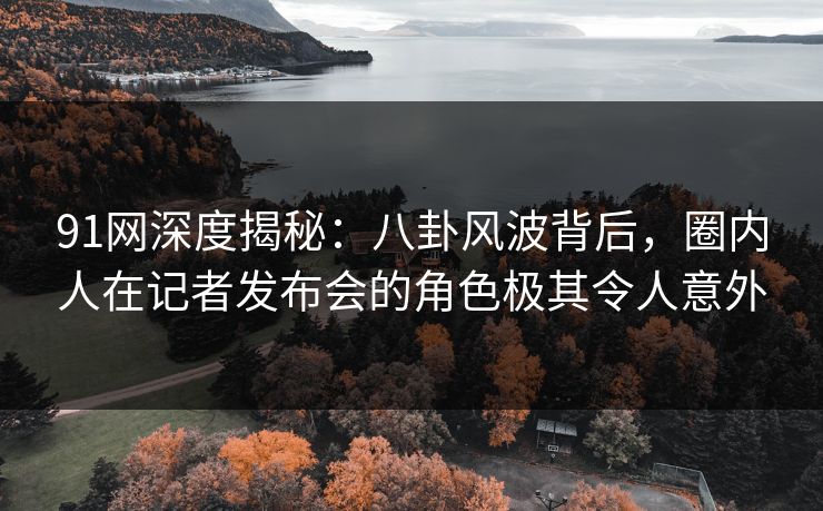 91网深度揭秘：八卦风波背后，圈内人在记者发布会的角色极其令人意外
